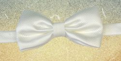 Papillon Jacquard Lyra